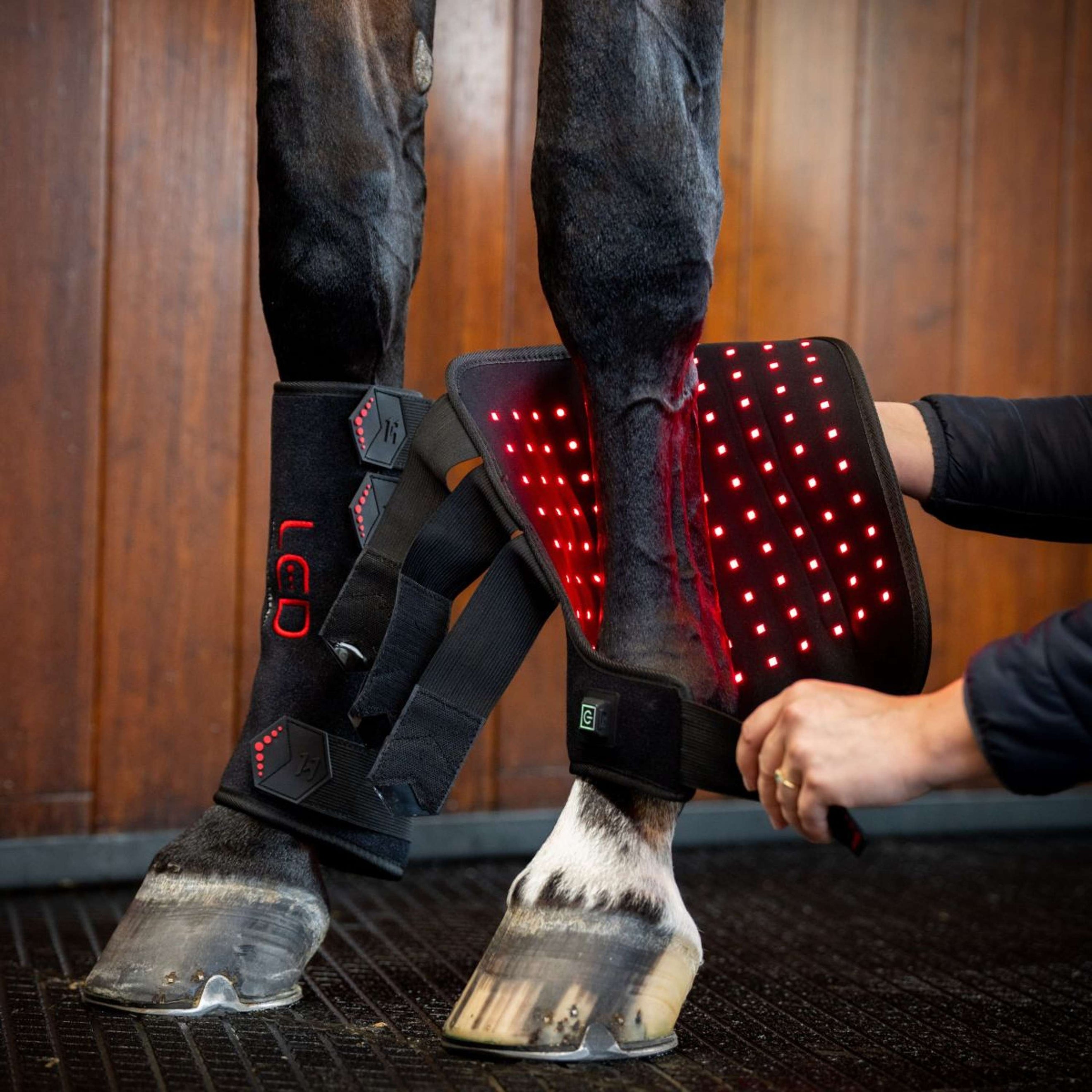 Horseware Leg Wraps LED Red Light Therapy Pair Negro/Negro