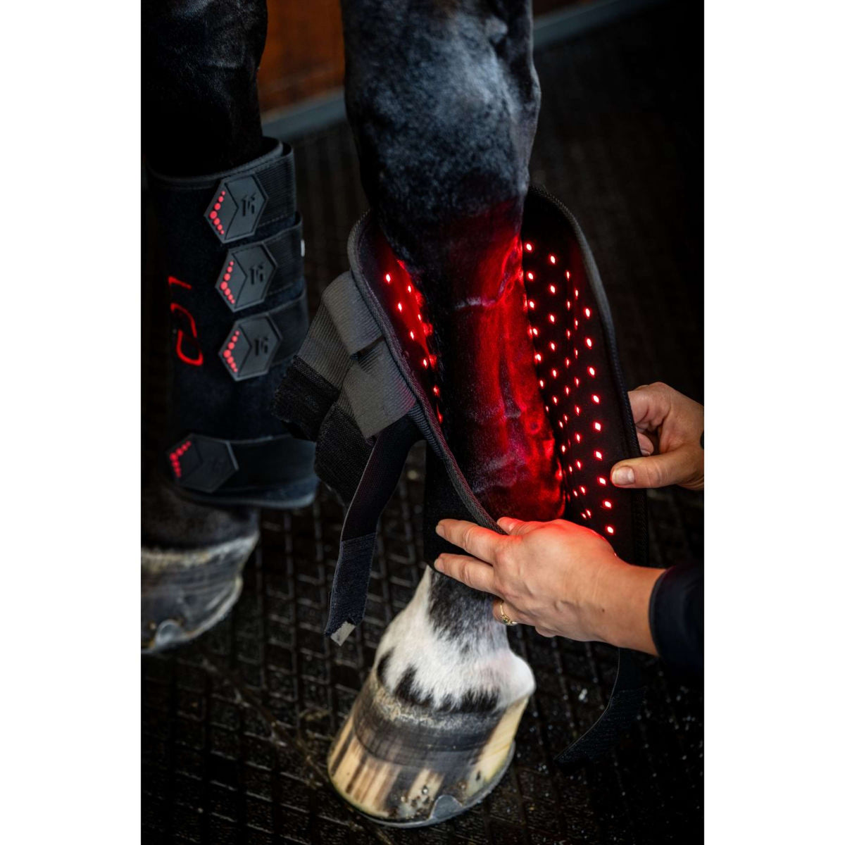 Horseware Leg Wraps LED Red Light Therapy Pair Negro/Negro
