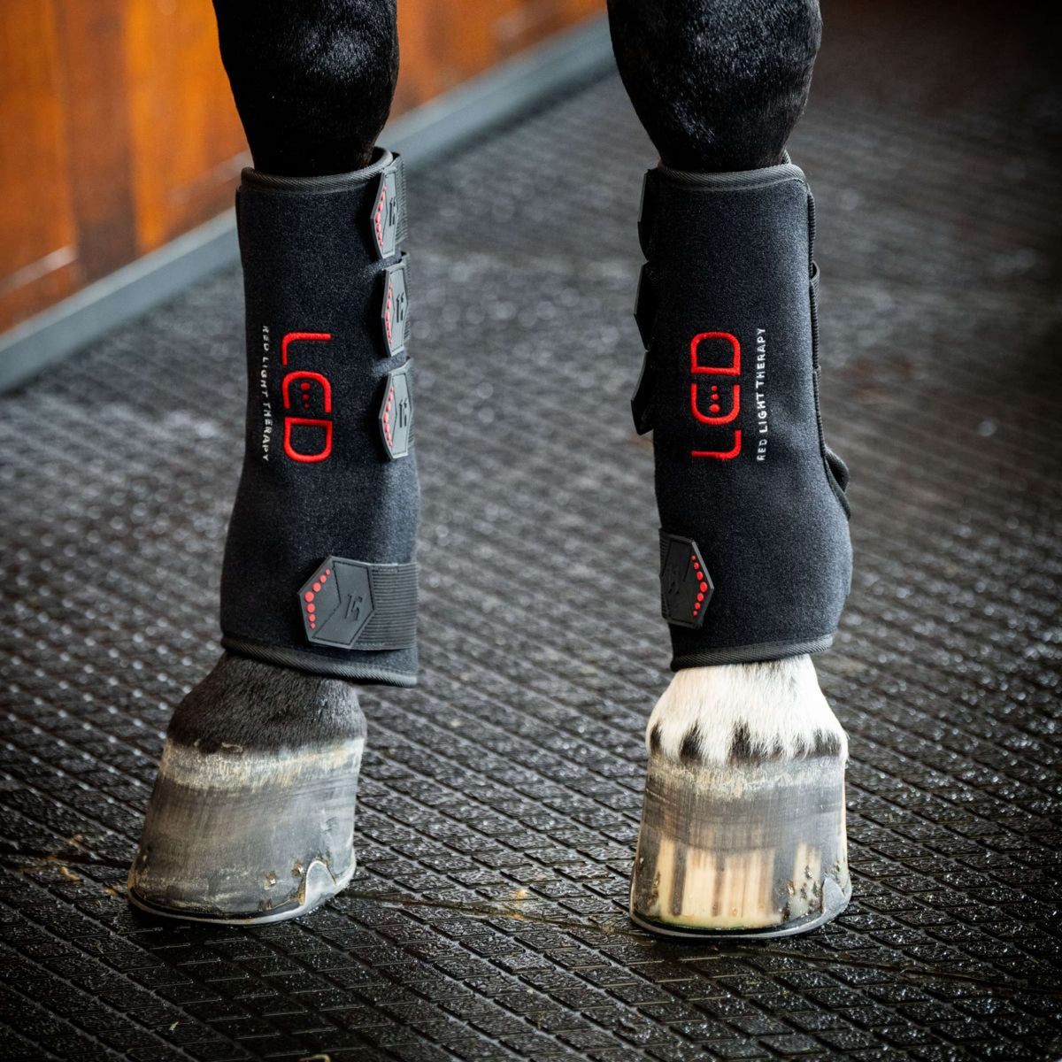 Horseware Leg Wraps LED Red Light Therapy Pair Negro/Negro