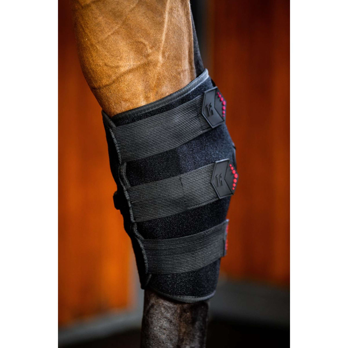 Horseware Hock Boots LED Red Light Therapy Pair Negro/Negro