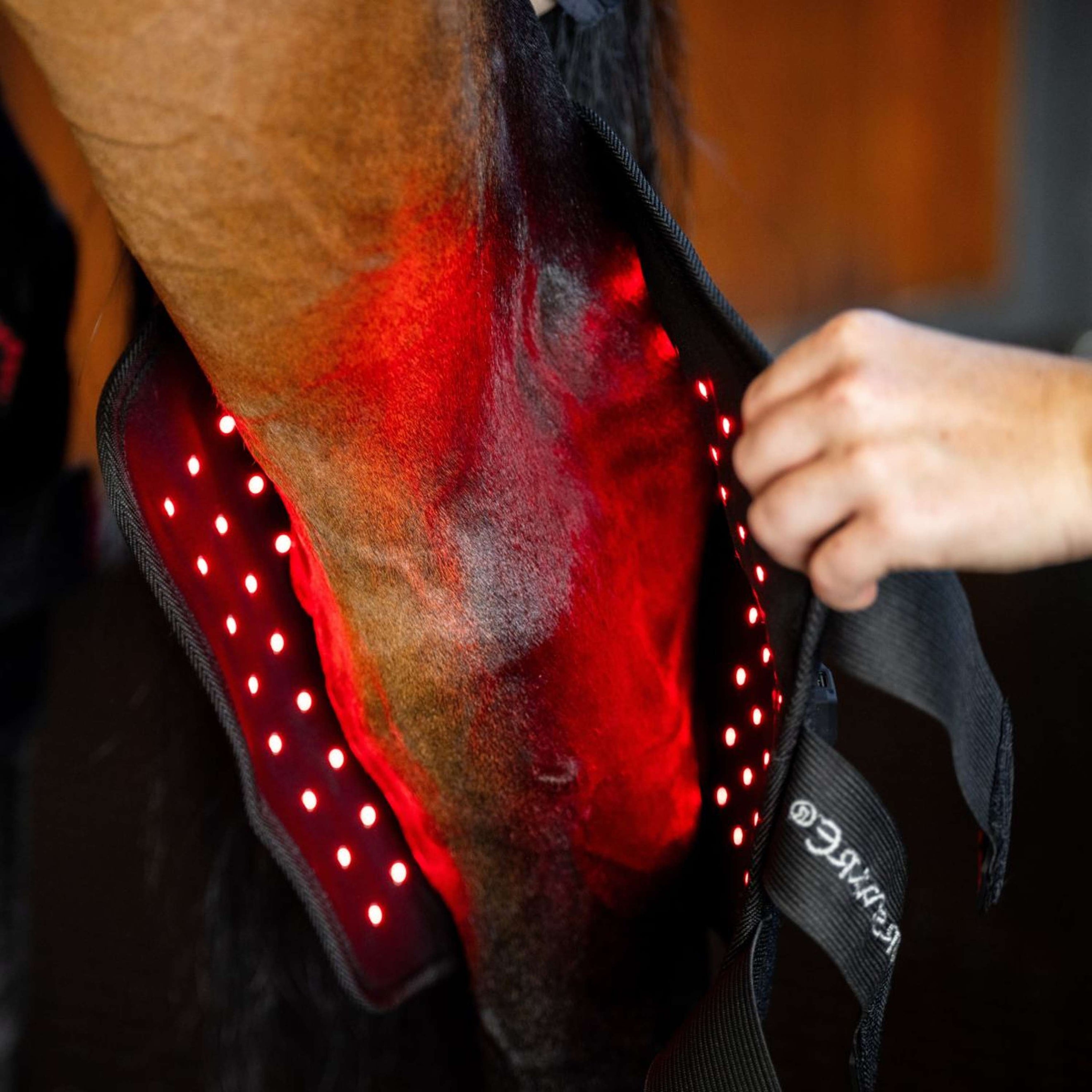 Horseware Hock Boots LED Red Light Therapy Pair Negro/Negro