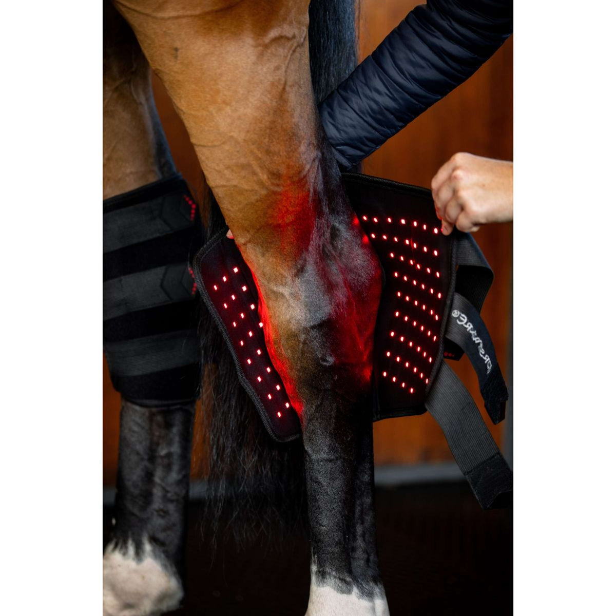 Horseware Hock Boots LED Red Light Therapy Pair Negro/Negro
