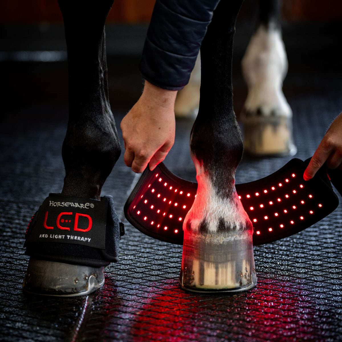 Horseware Mini Wraps LED Red Light Therapy Pair Negro/Negro