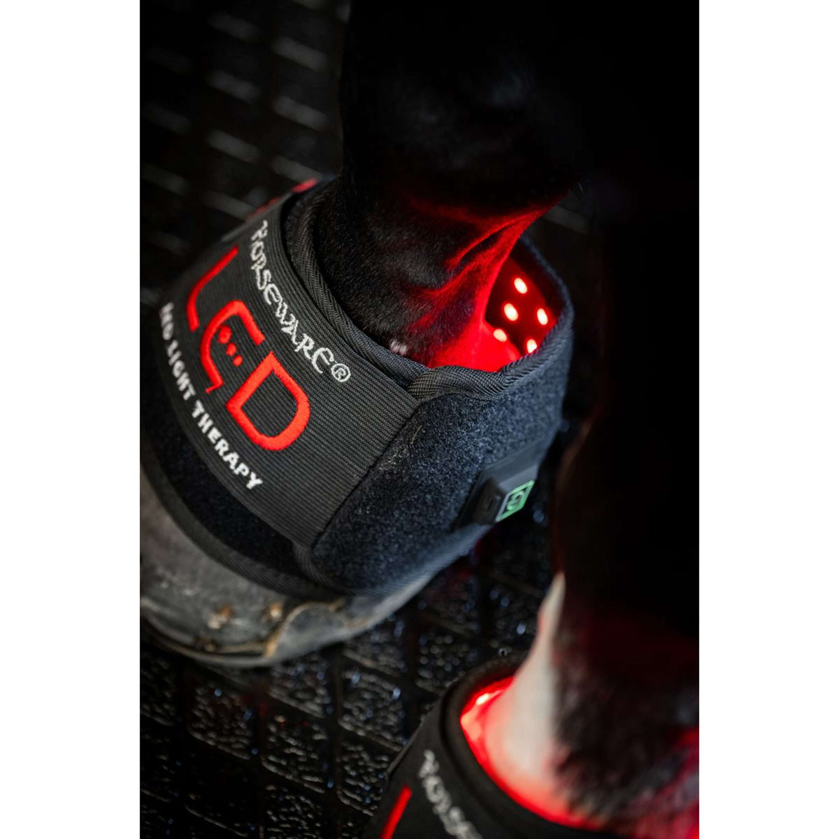 Horseware Mini Wraps LED Red Light Therapy Pair Negro/Negro
