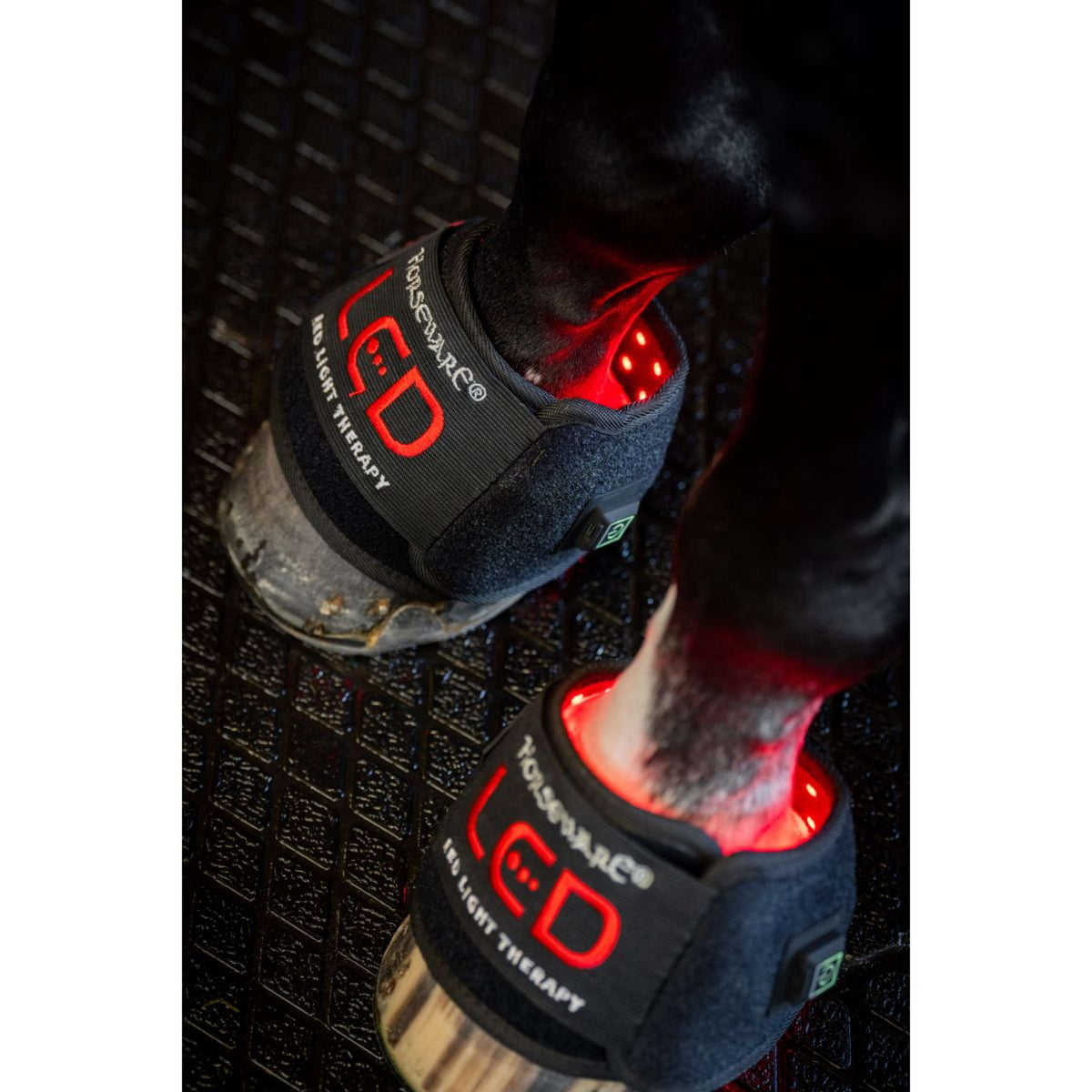 Horseware Mini Wraps LED Red Light Therapy Pair Negro/Negro