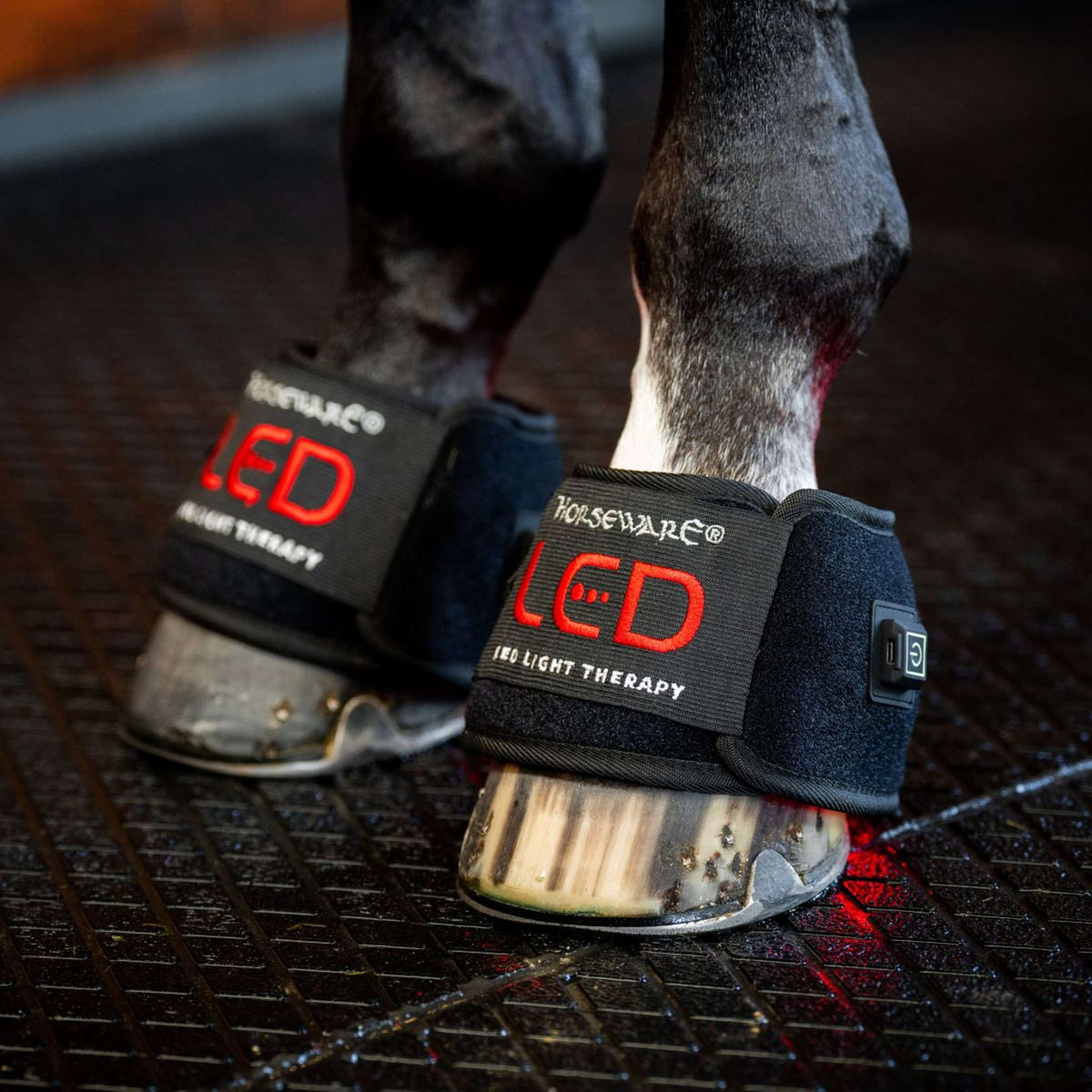 Horseware Mini Wraps LED Red Light Therapy Pair Negro/Negro