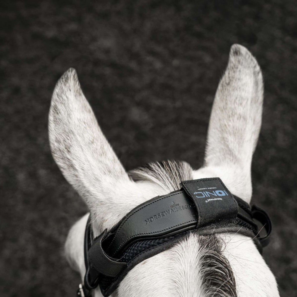 Horseware Protector de Cabezada Ionic Negro