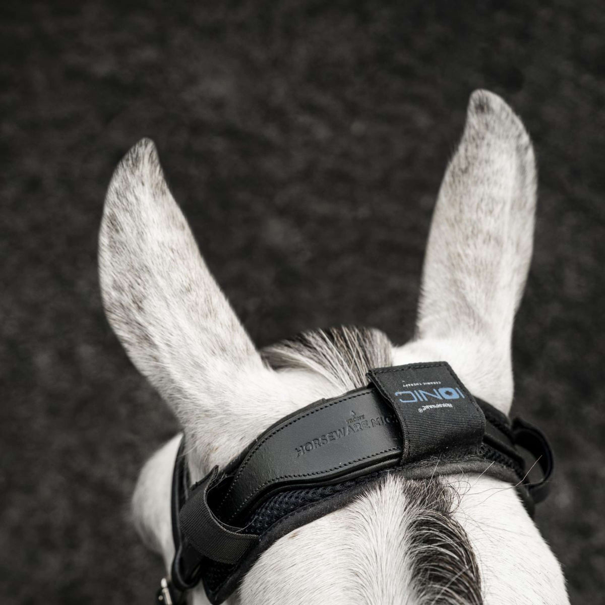 Horseware Protector de Cabezada Ionic Negro