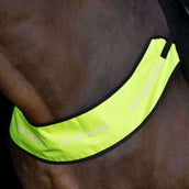 Imperial Riding Arnés de Pecho IRHReflective Amarillo