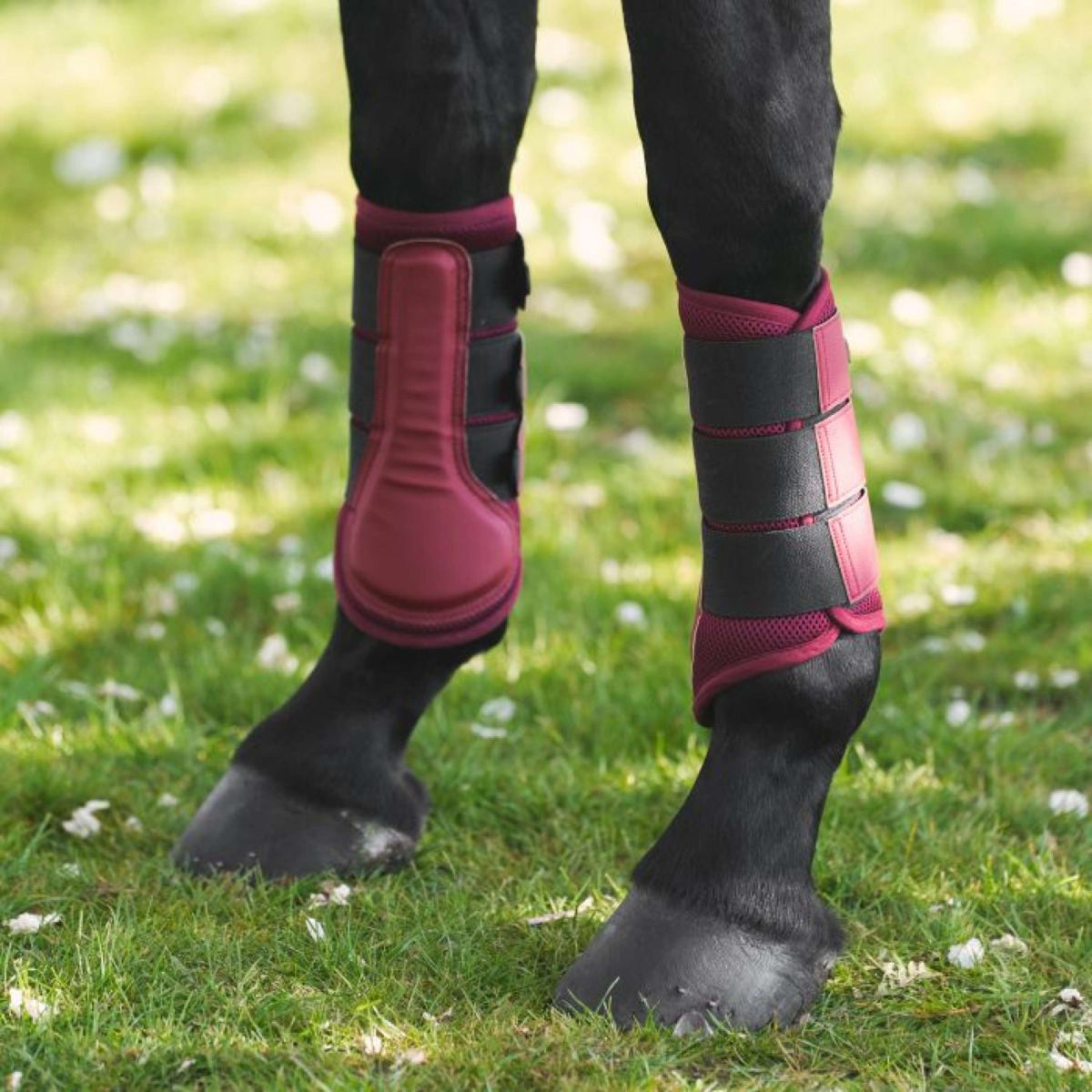 Imperial Riding Botas para tendones IRHCloud Dancer Fig