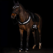 Imperial Riding Bonete para Orejas IRHLuminous Negro
