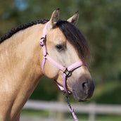Imperial Riding Cabezada IRHSparkle Ballerina