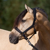 Imperial Riding Cabezada IRHSparkle Negro
