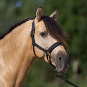 Imperial Riding Cabezada IRHSparkle Negro