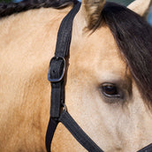 Imperial Riding Cabezada IRHSparkle Negro