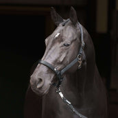 Imperial Riding Cabezada IRHRebel Negro