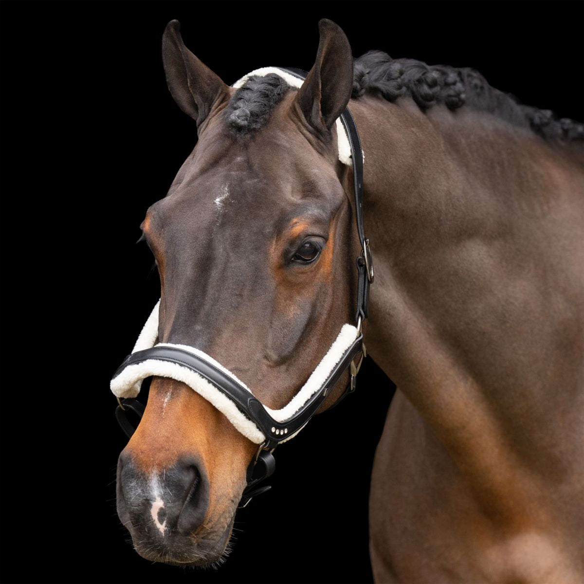 Imperial Riding Cabezada IRHLuxury Negro