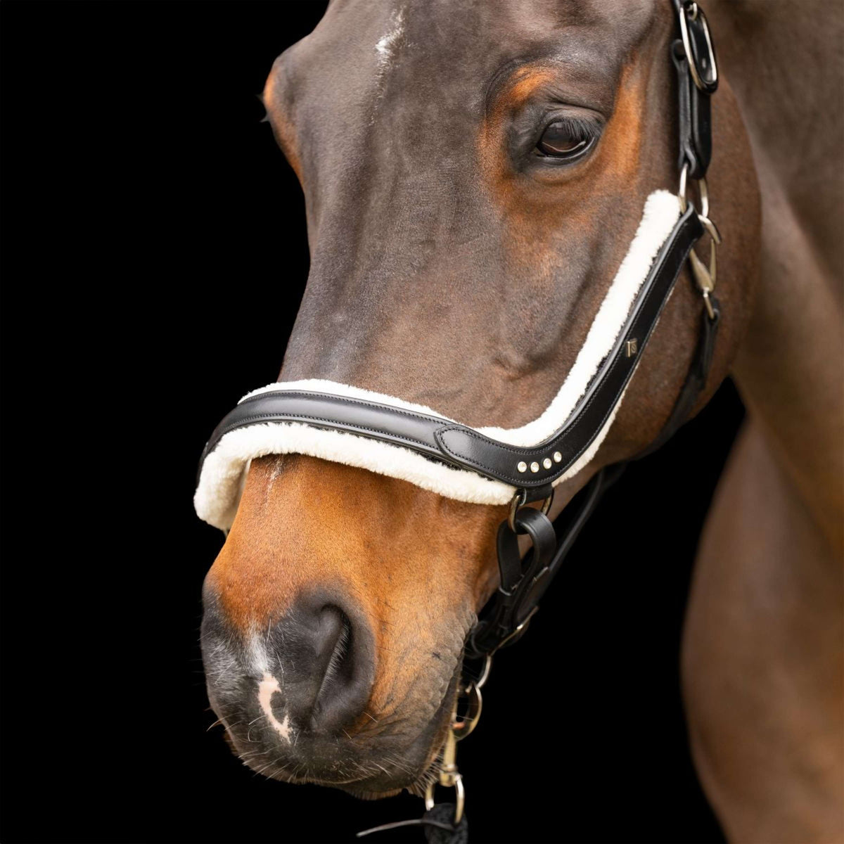 Imperial Riding Cabezada IRHLuxury Negro