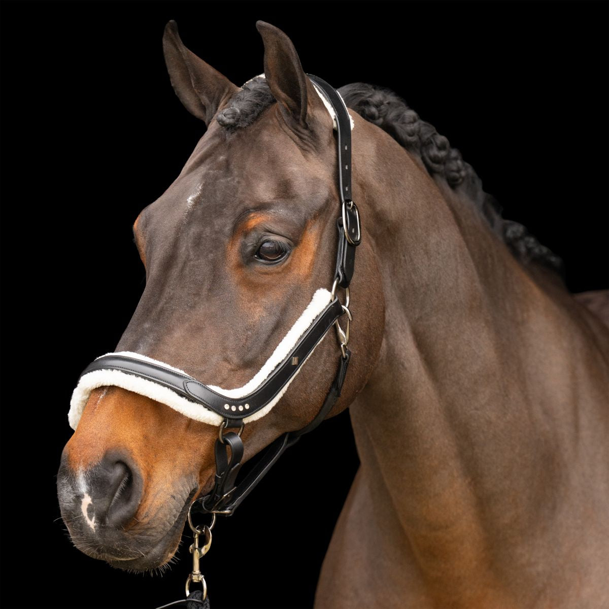 Imperial Riding Cabezada IRHLuxury Negro