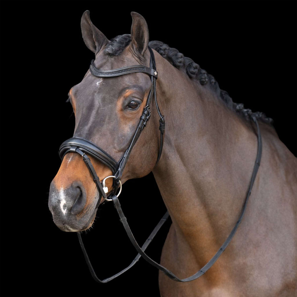 Imperial Riding Brida IRH Negro/Negro