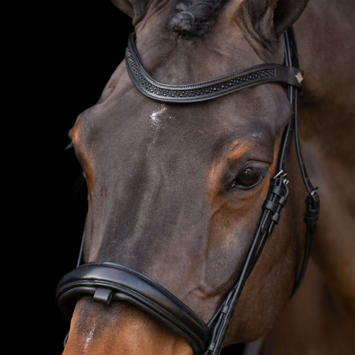 Imperial Riding Brida IRH Negro/Negro