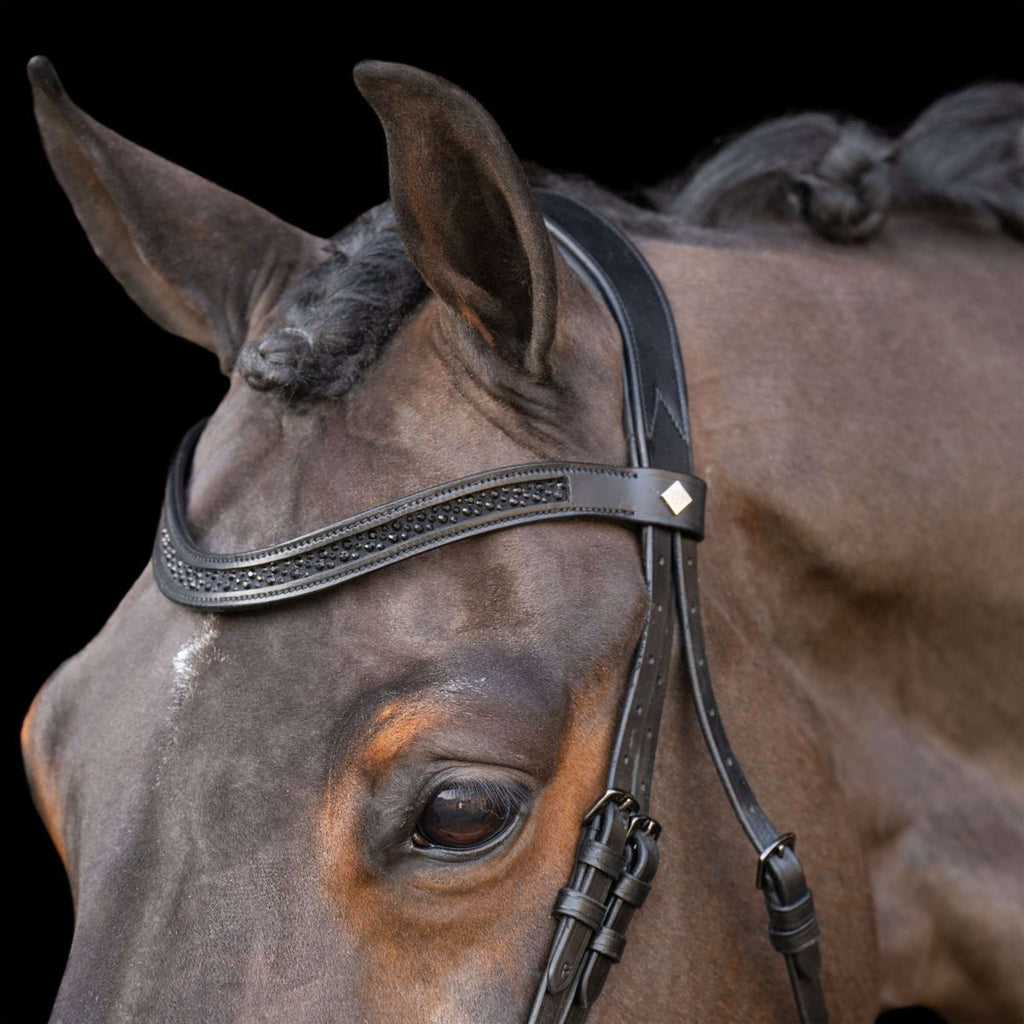 Imperial Riding Brida IRH Negro/Negro
