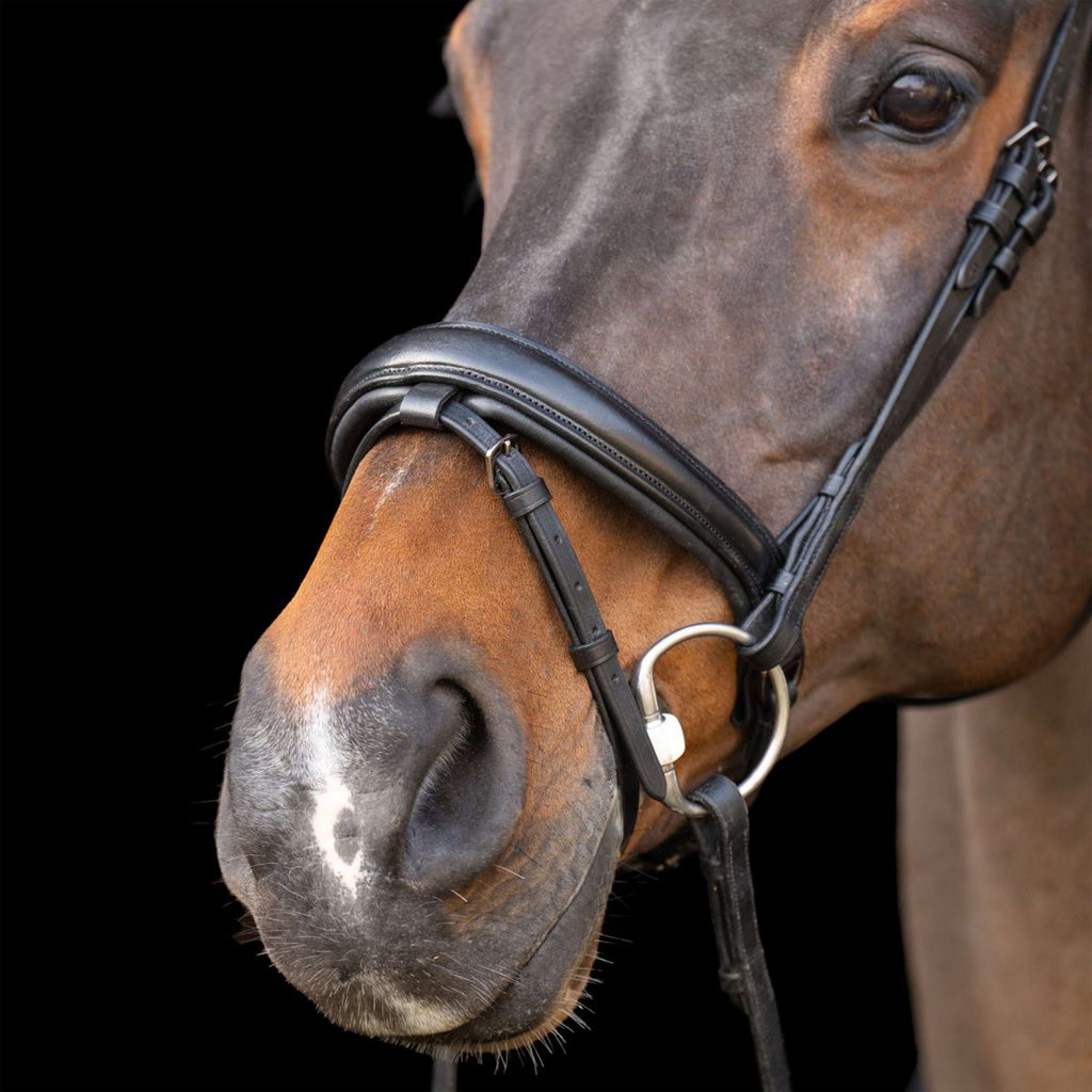 Imperial Riding Brida IRH Negro/Negro
