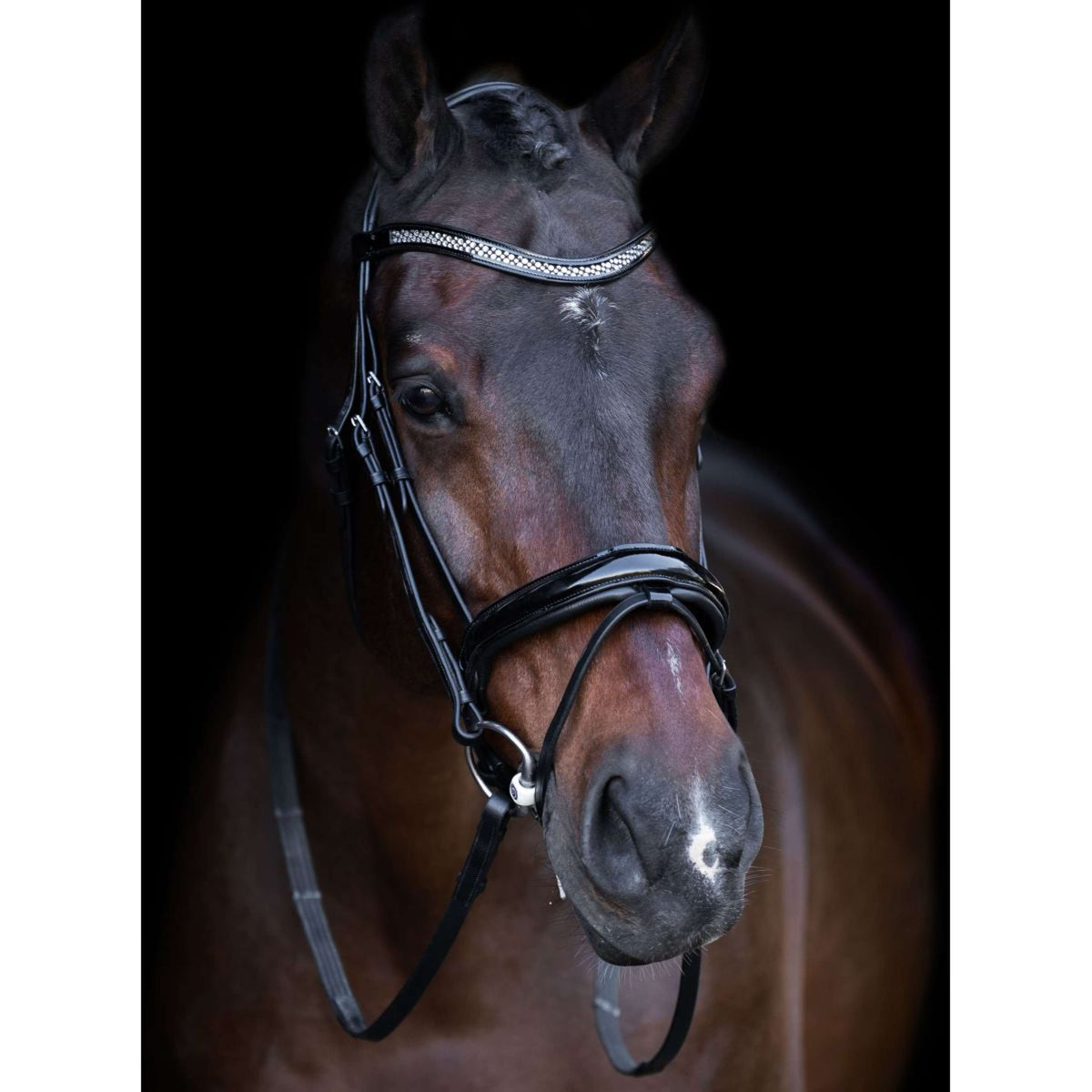 Imperial Riding Brida IRH Negro Cristal