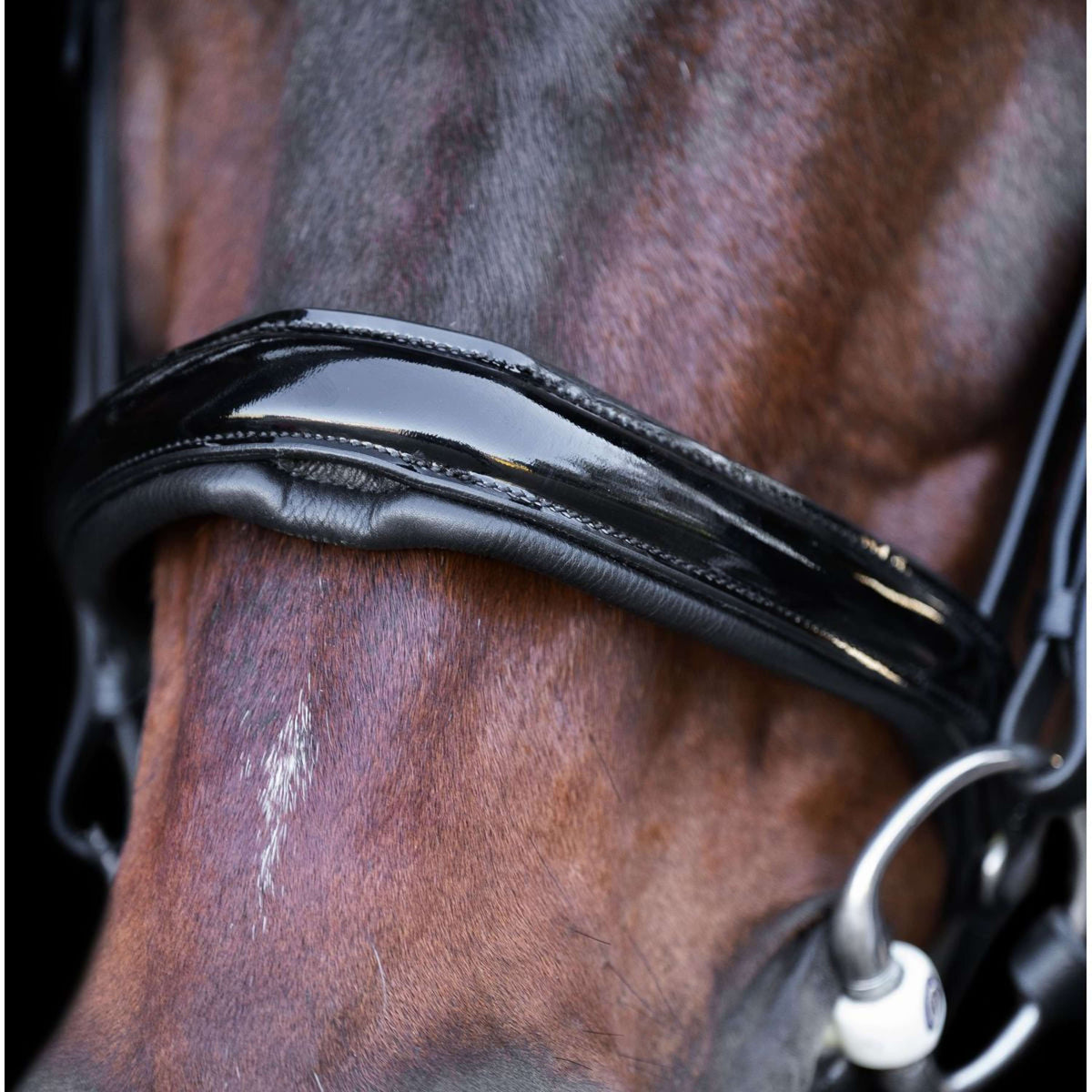 Imperial Riding Brida IRH Negro Cristal