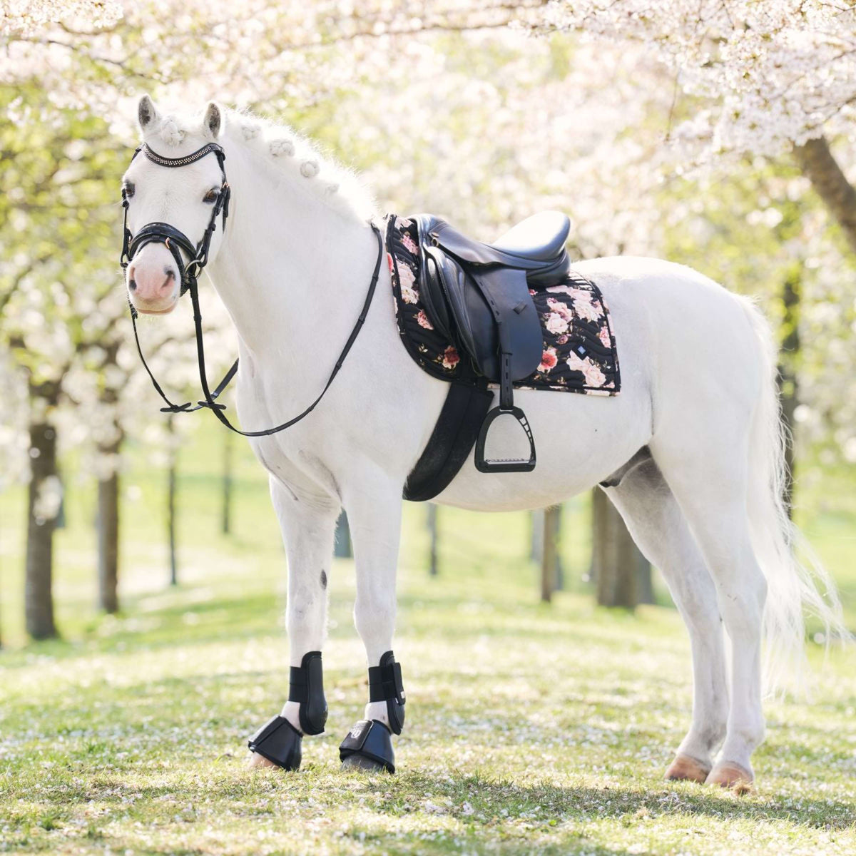 Imperial Riding Mantilla IRHRebel Doma clásica Flower Print