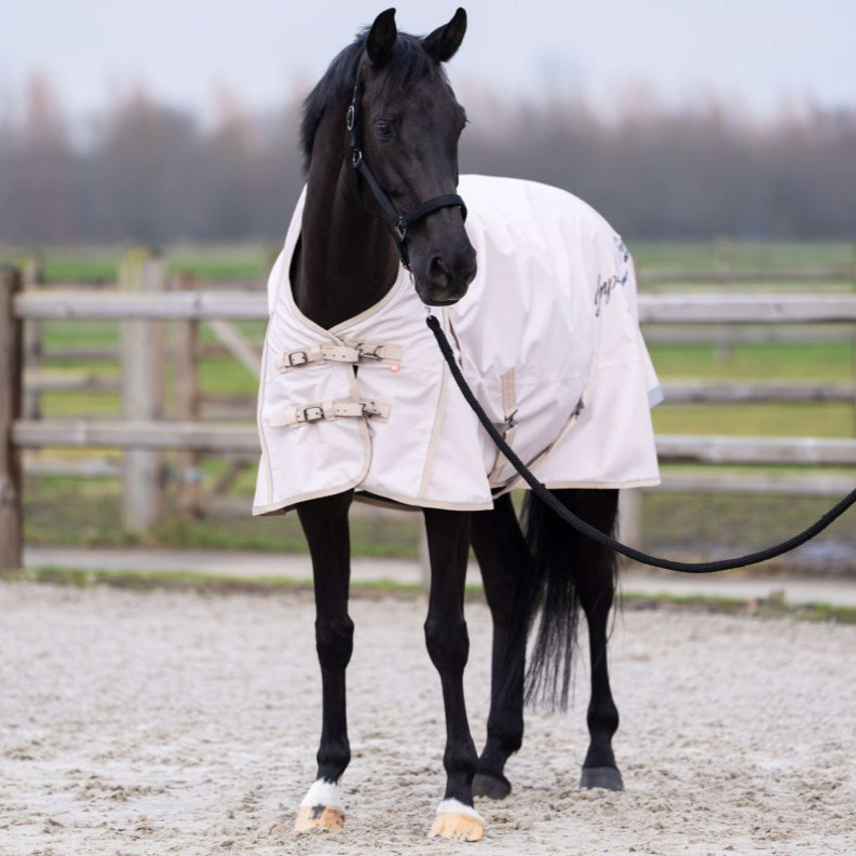 Imperial Riding Alfombra de Exterior IRHSuper-dry AOP 0g Taupe