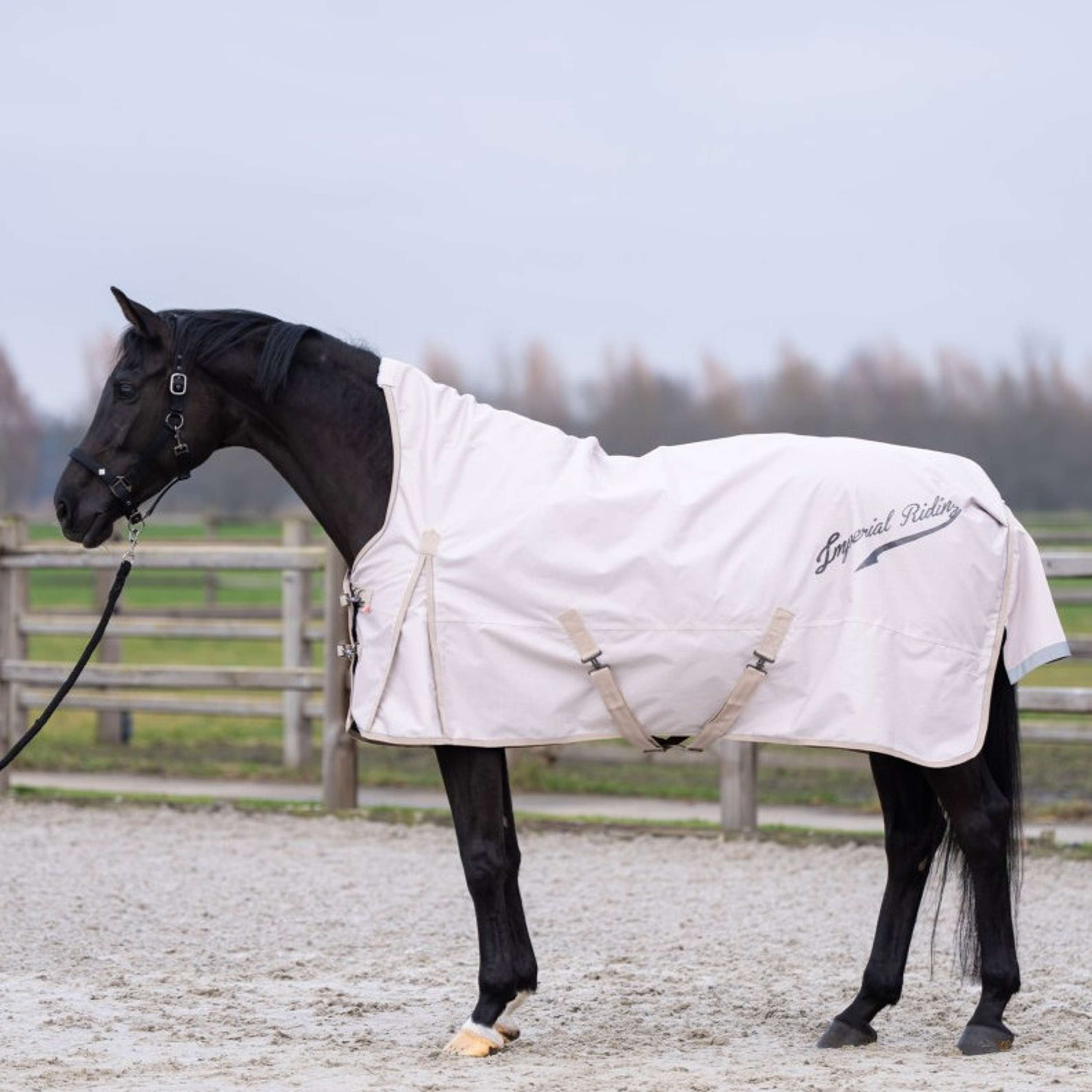 Imperial Riding Alfombra de Exterior IRHSuper-dry AOP 0g Taupe