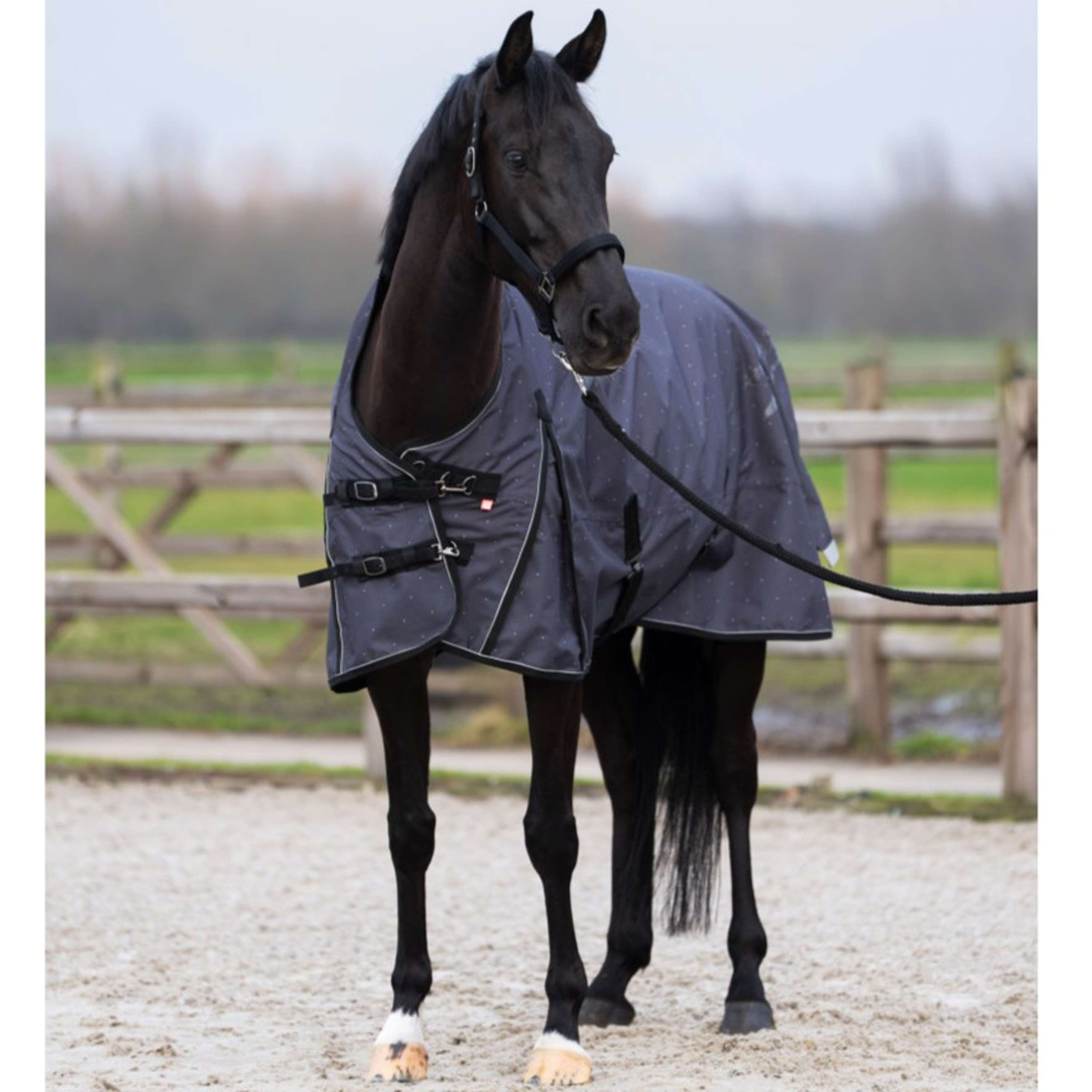 Imperial Riding Alfombra de Exterior IRHSuper-dry AOP 100g Gris