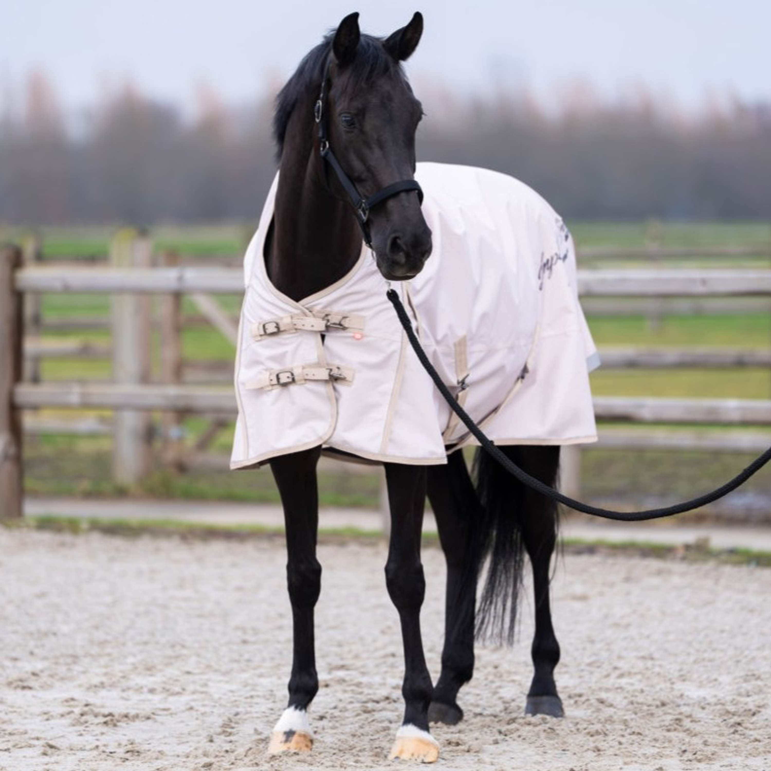 Imperial Riding Alfombra de Exterior IRHSuper-dry AOP 100g Taupe