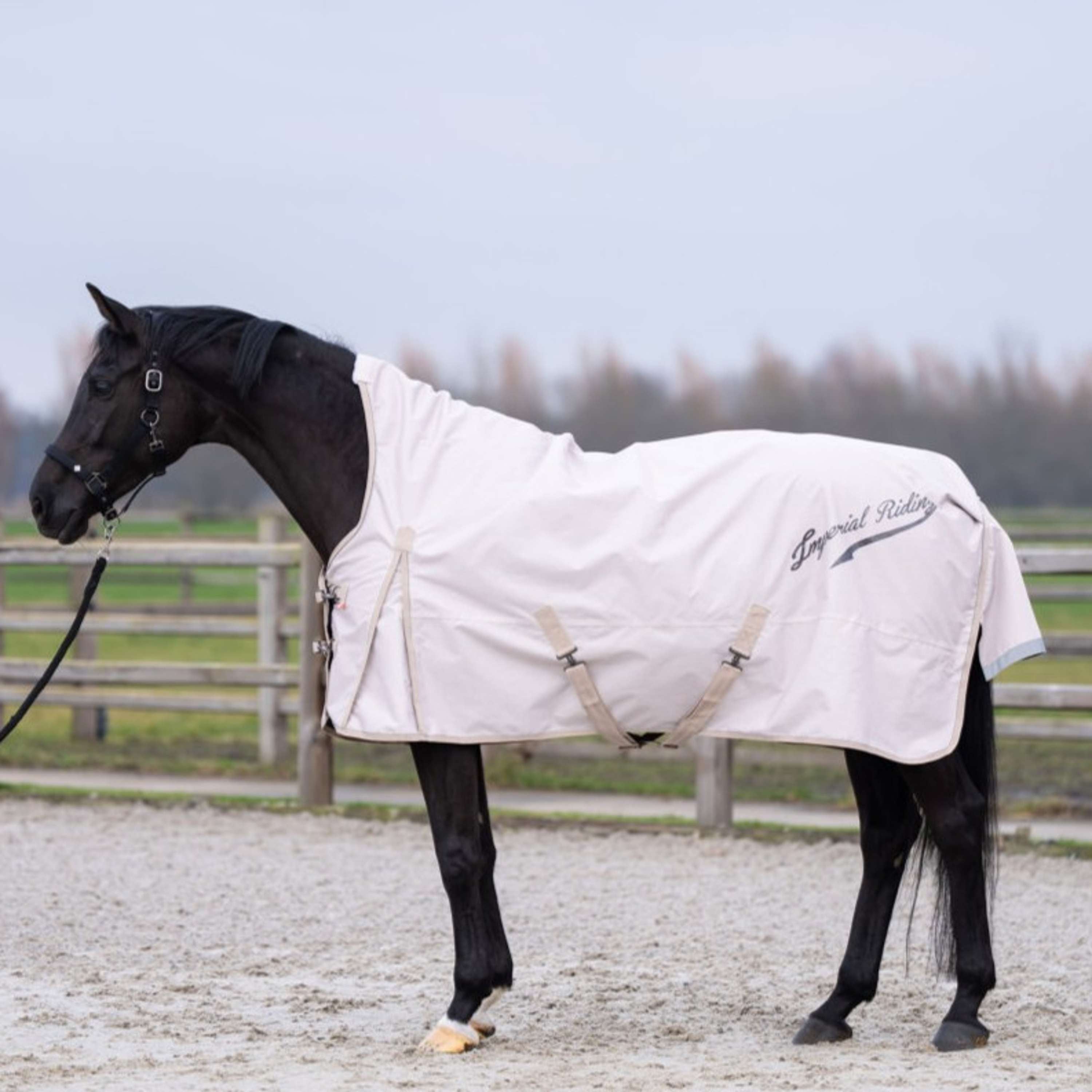 Imperial Riding Alfombra de Exterior IRHSuper-dry AOP 100g Taupe