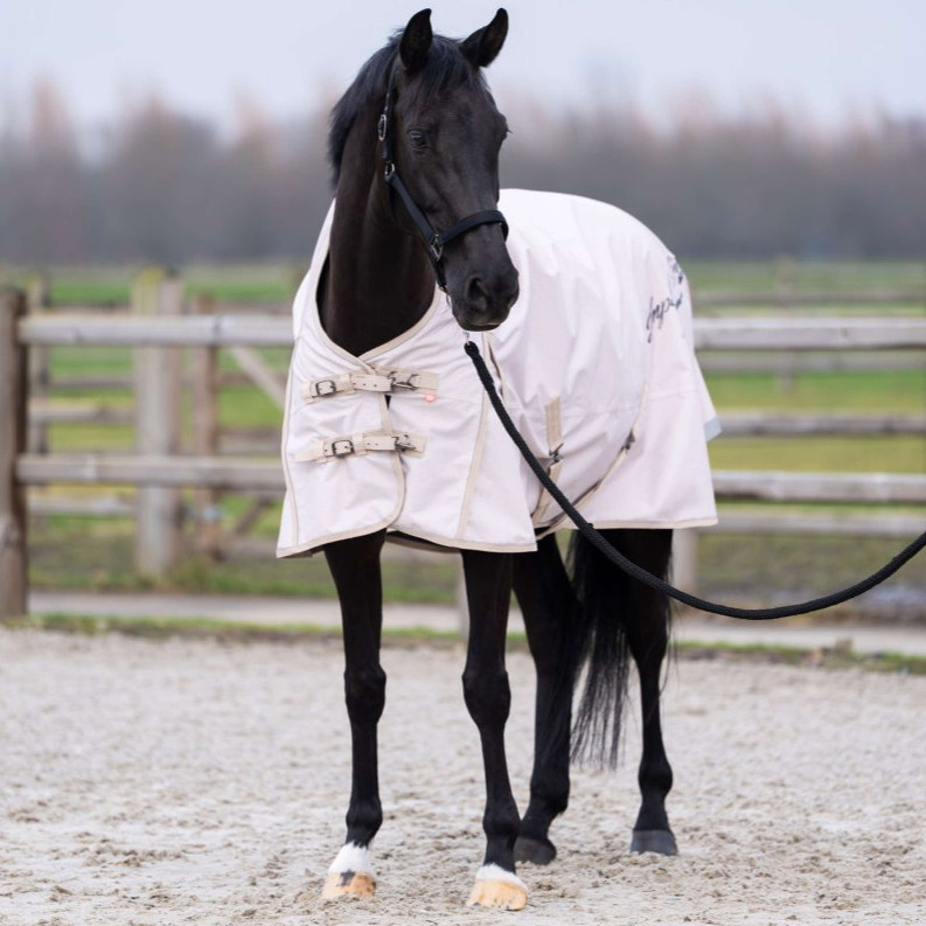 Imperial Riding Alfombra de Exterior IRHSuper-dry AOP 300g Taupe