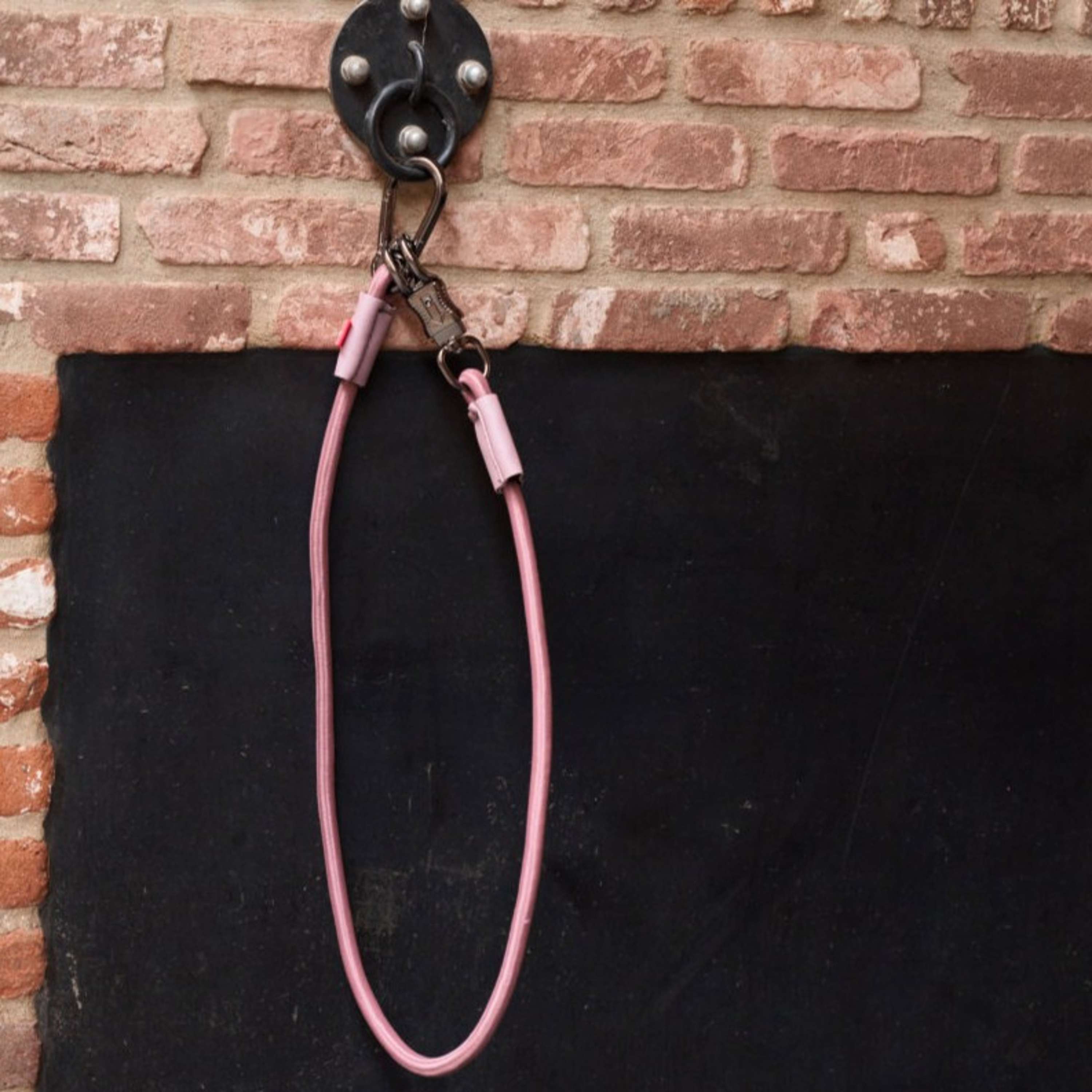 Imperial Riding Línea de remolque Elastisch Mauve