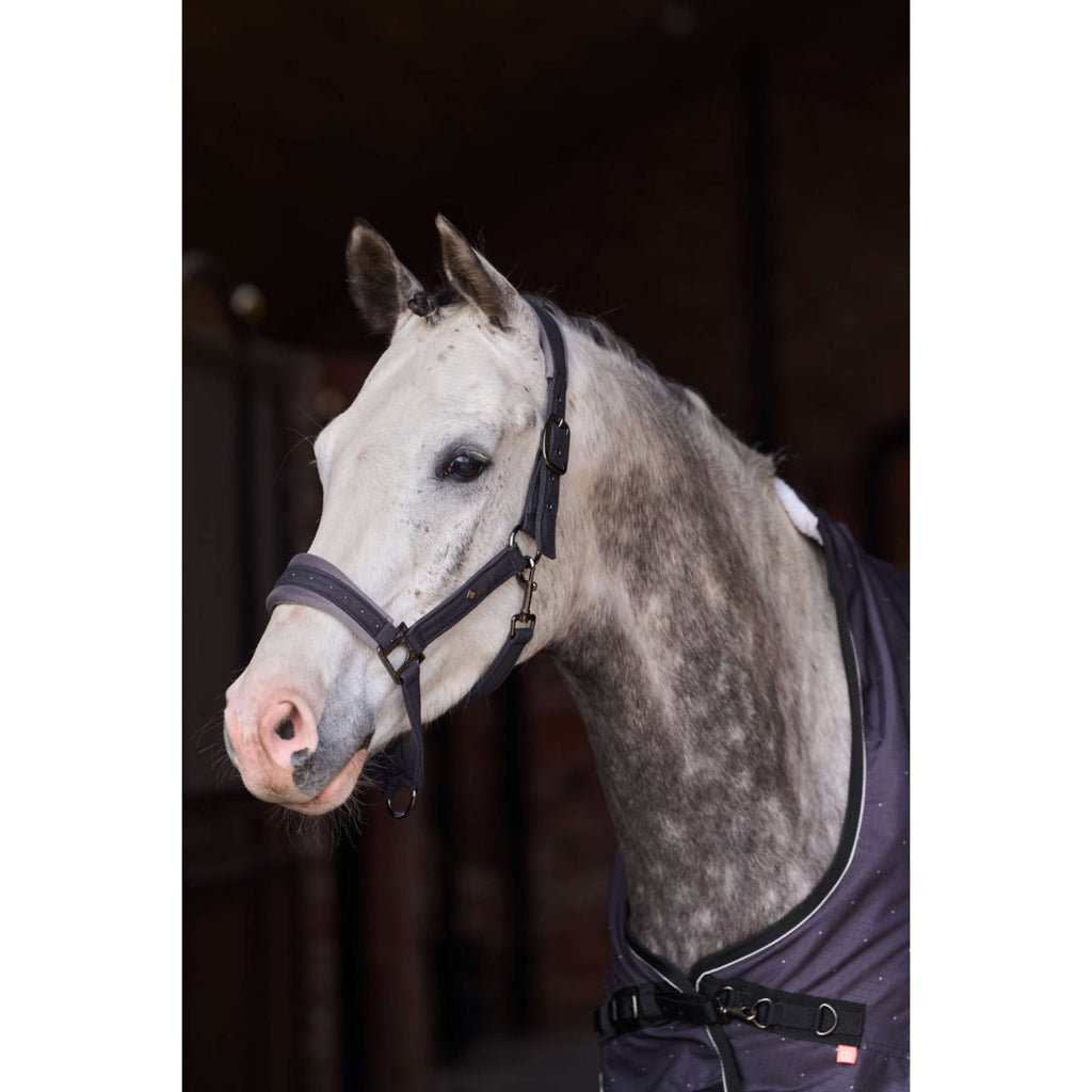 Imperial Riding Cabestro IRHPenny Herringbone Gris