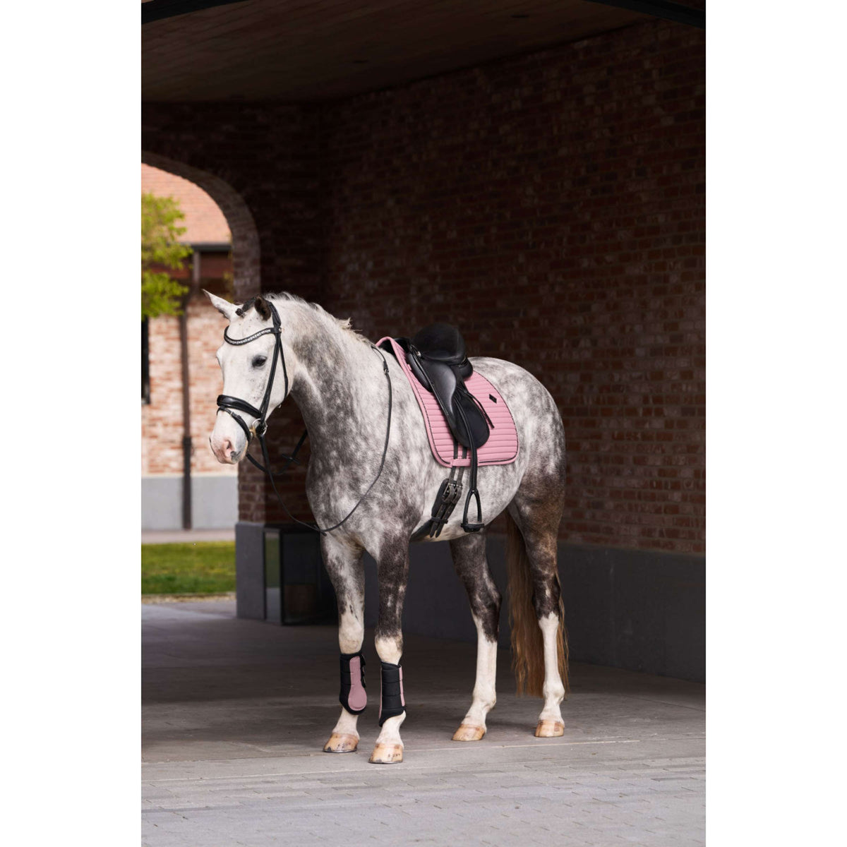 Imperial Riding Dressage Boots IRHCloud Dancer Mauve