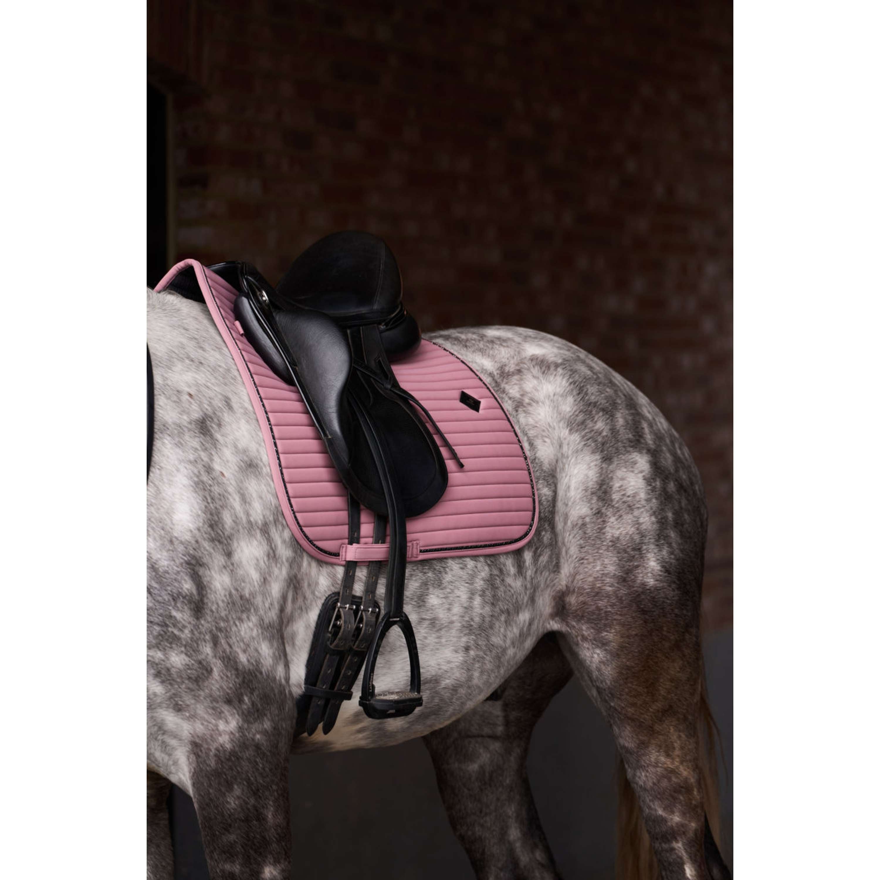 Imperial Riding Mantilla IRHJosie Doma Clásica Mauve