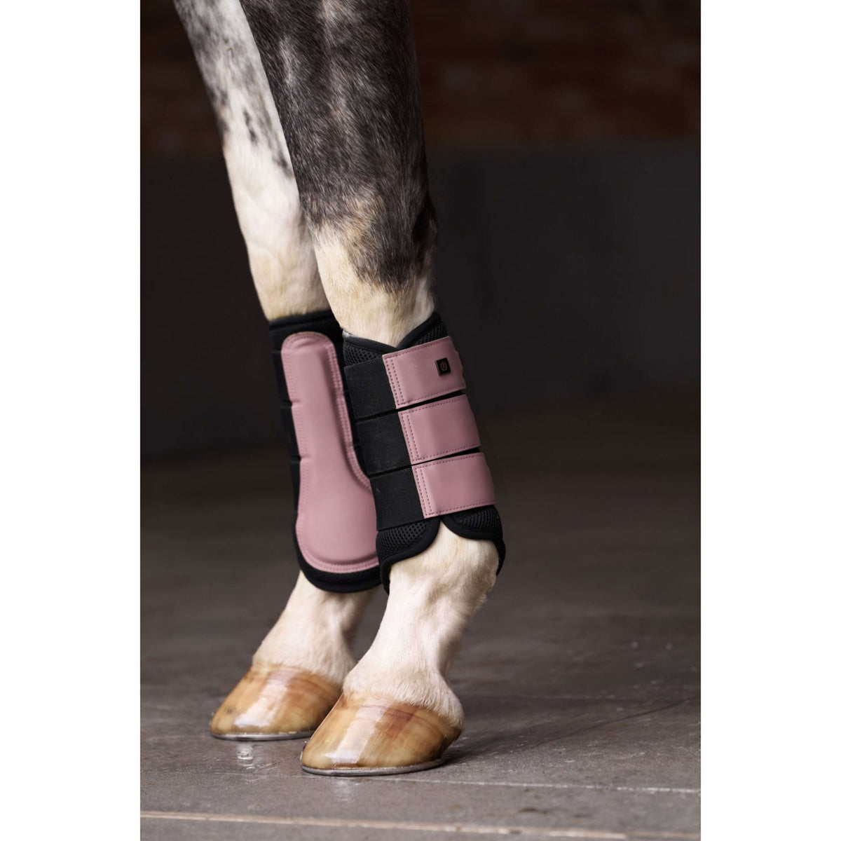 Imperial Riding Dressage Boots IRHCloud Dancer Mauve