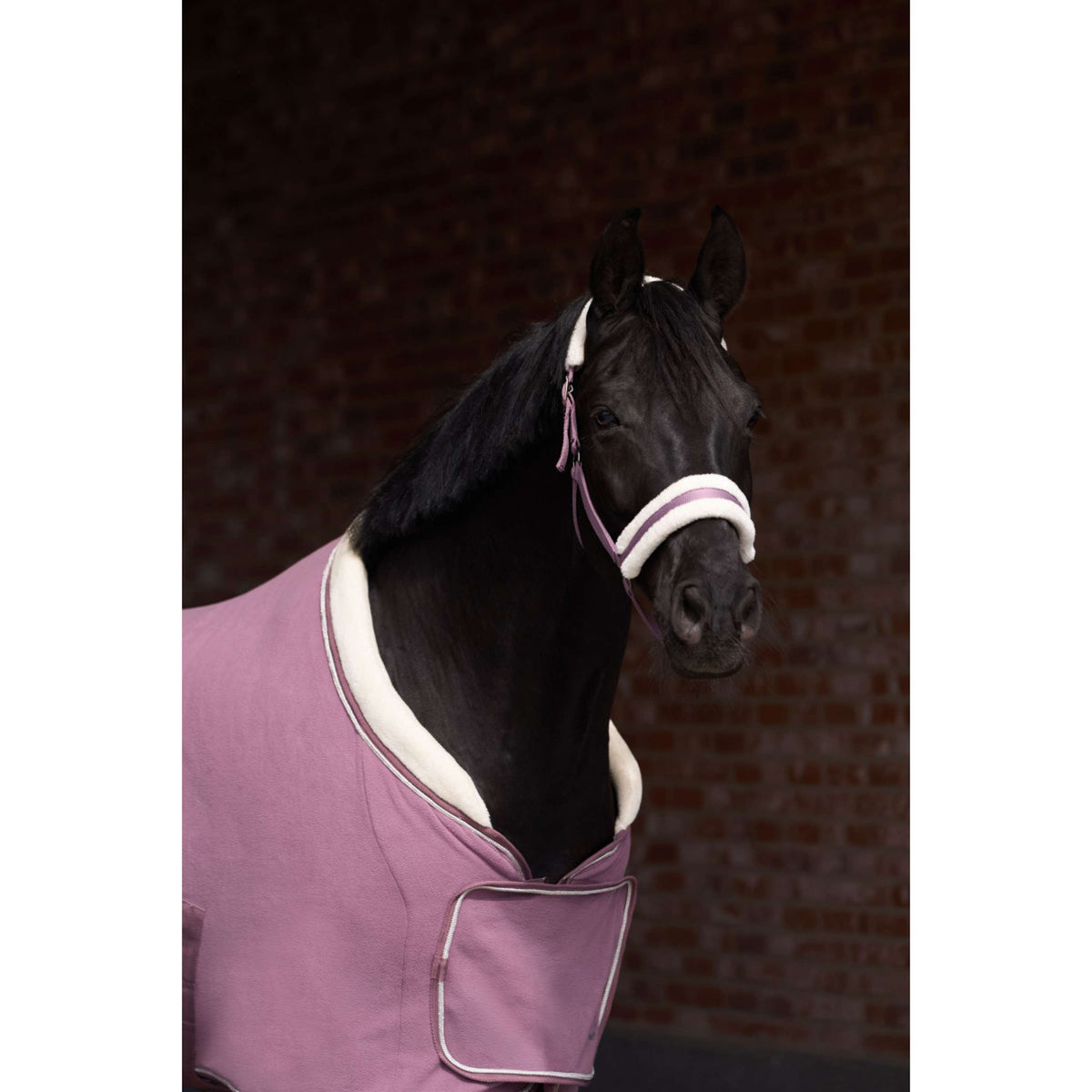 Imperial Riding Cabestro IRHJewel Mauve