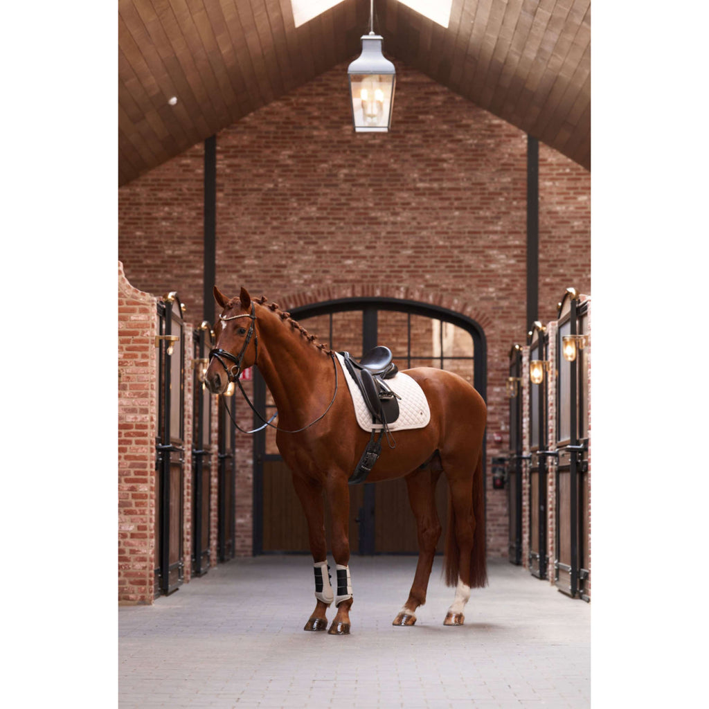 Imperial Riding Mantilla IRHPenny herringbone Doma Clásica Taupe