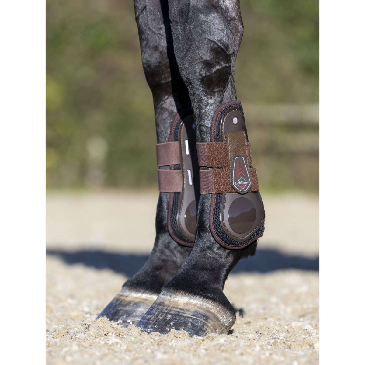 LeMieux Botas para tendones Derby ProJump Marron