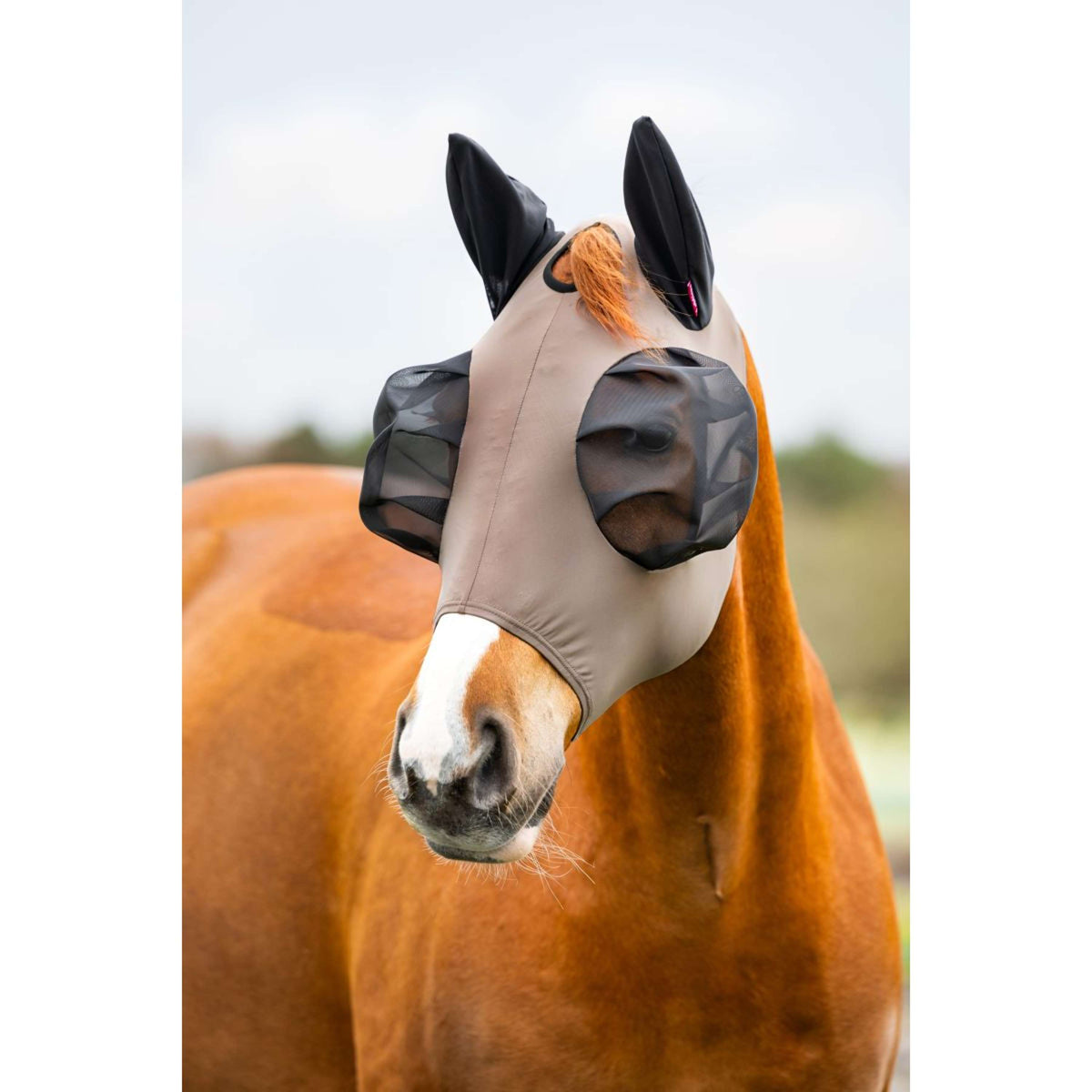 LeMieux Máscara para Moscas Bug Relief Nuez