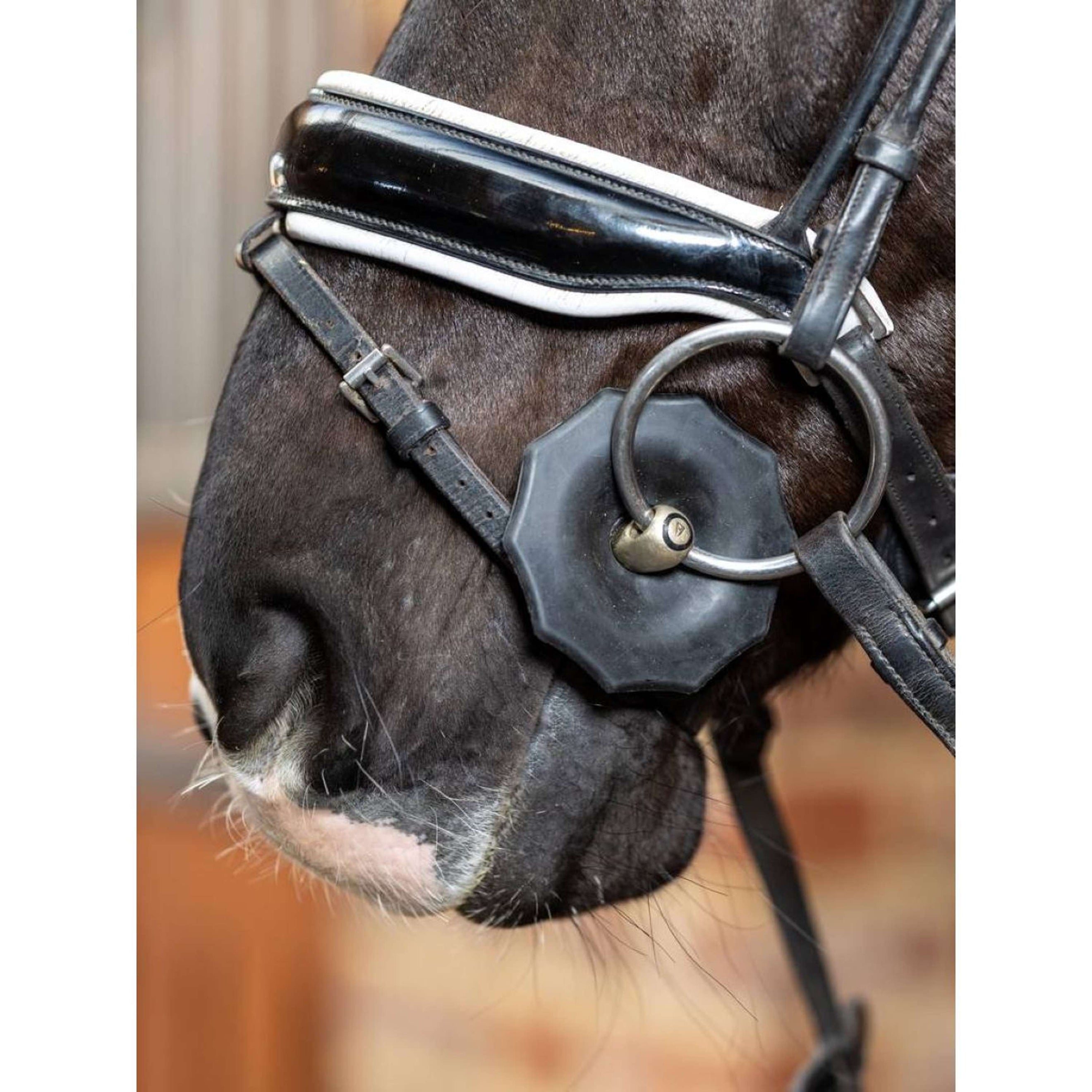 LeMieux Protectores de Bocado Rubber Negro