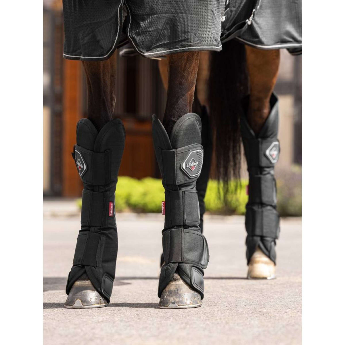 LeMieux Protectores de transporte Negro