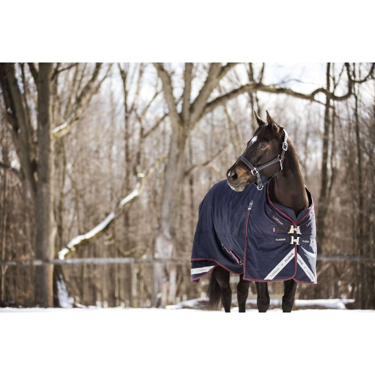 LeMieux Alfombra Kudos Turnout 100g Navy