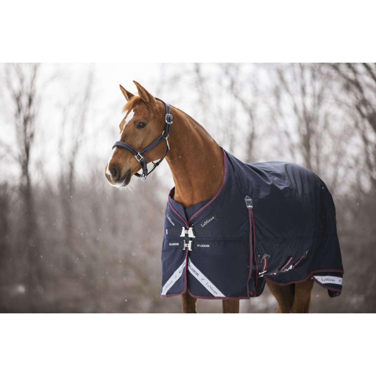 LeMieux Alfombra Kudos Turnout 100g Navy