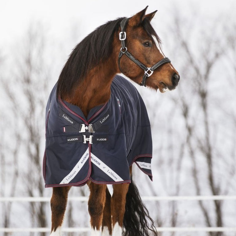 LeMieux Alfombra Kudos Turnout 50g Navy